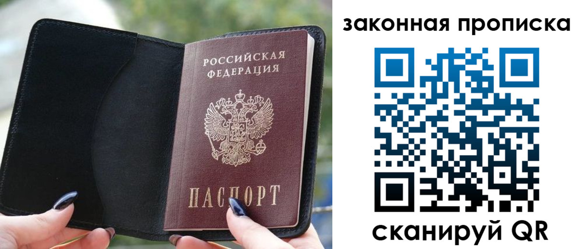 прописка законно в Шумихе